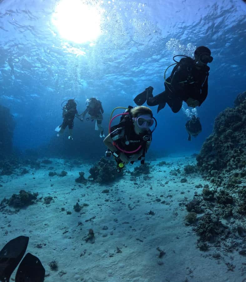 Museum Diving Experience in the Red Sea - Languages, flexibility, and cancellation