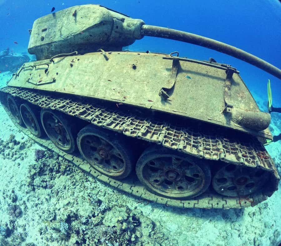 Museum Diving Experience in the Red Sea - Pickup from Hurghada, Makadi Bay, and El Gouna