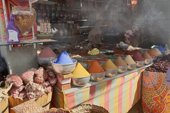 Nubian Village and Philae Temple Private Guided Tour From Aswan - What The Guides Add To The Day