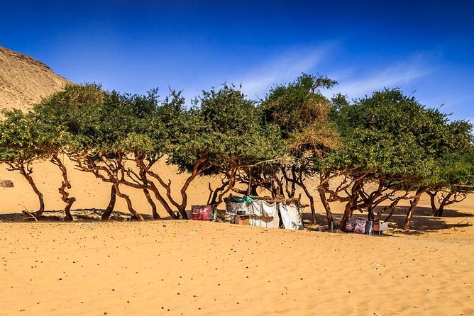 Nubian Village by Motorboat In Aswan - The Crocodile House and a Memorable Extra Stop