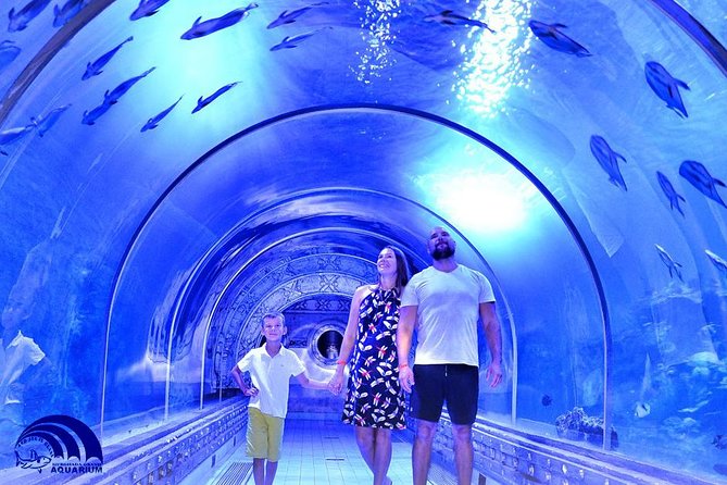 Official Account: Hurghada Grand Aquarium Entrance Tickets - What the Hurghada Grand Aquarium offers