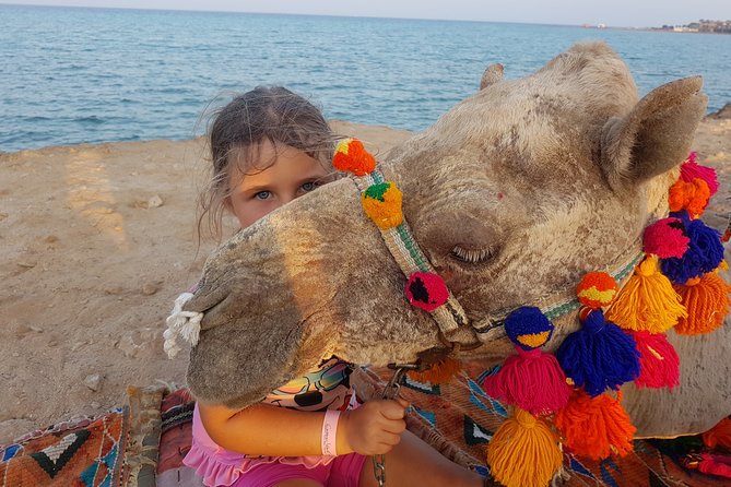 One hour Camel Ride At Amazing Desert With Transfer - Hurghada - What the two-hour Hurghada outing looks like