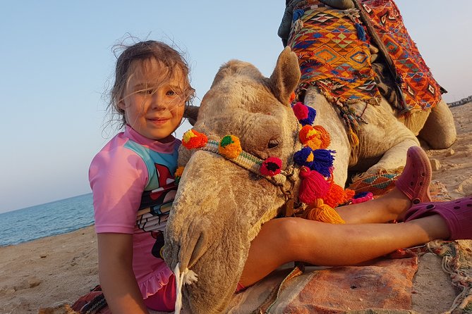 One hour Camel Ride At Amazing Desert With Transfer - Hurghada - Families should think about comfort, not just fun