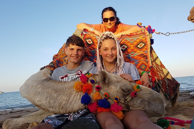 One hour Camel Ride At Amazing Desert With Transfer - Hurghada - Cancellation and practical booking notes