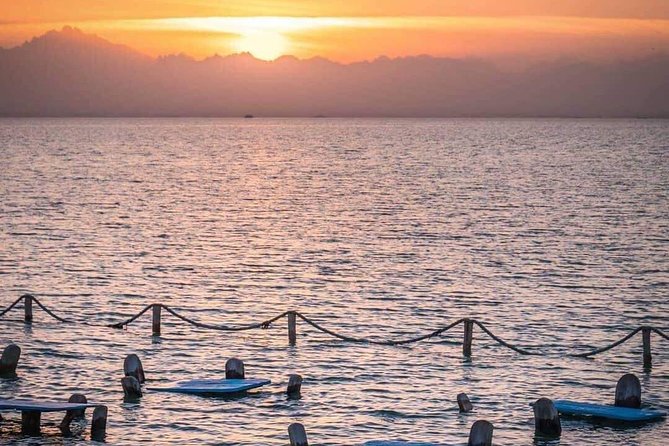 Orange Bay Full Day Snorkeling Sea Trip With Water Sport-Hurghada - What this $16 Red Sea trip actually includes