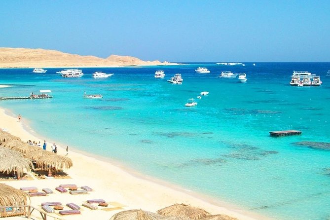 Orange Bay Full-Day Snorkeling With lunch - What Your Nine-Hour Red Sea Day Looks Like