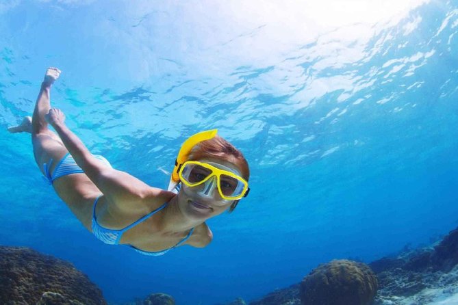 Orange Bay Full-Day Snorkeling With lunch - The First Snorkeling Stop: Set Your Expectations