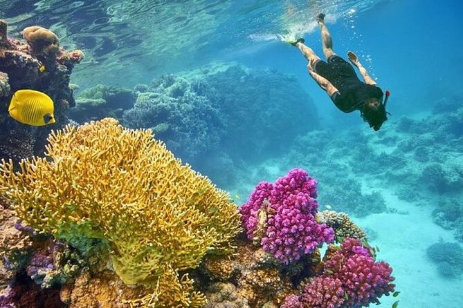 Orange Bay Island 2 Snorkeling Stops Water Sports Romantic Escape - The 8:00 AM pickup and marina start