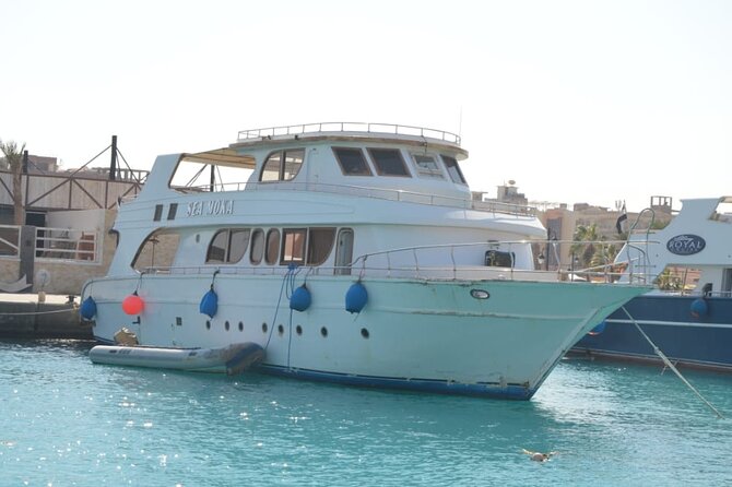 Orange Bay Island - Snorkeling at two Red Sea sites