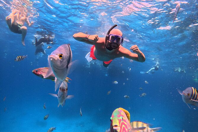 Orange Bay Island Cruise with Breakfast, Lunch and Drinks - Two hours on Orange Bay Island