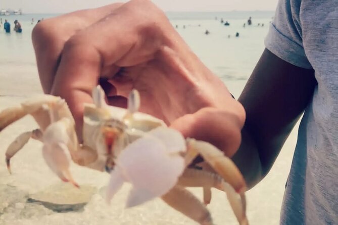 Orange Bay Island Deluxe Snorkeling, Water Sports from Hurghada - Two hours on Orange Bay Island