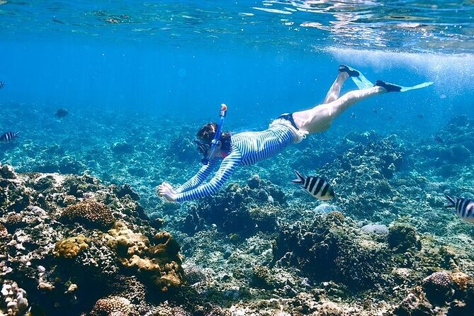 Orange Bay Island Full Day Boat Trip with Lunch - Hurghada - Boat comfort, group size, and the small tradeoffs