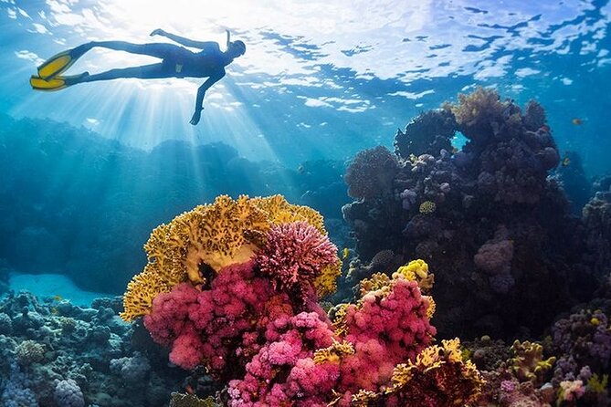 Orange Bay Island Luxury Boat With Lunch & Water Sport - Hurghada - Snorkeling over Red Sea coral reefs