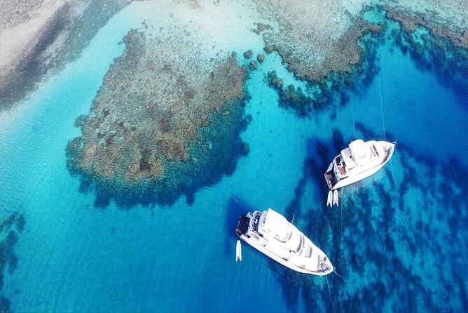 Orange Bay island Maldives of Egypt snorkeling Private 4 hours - Key points at a glance