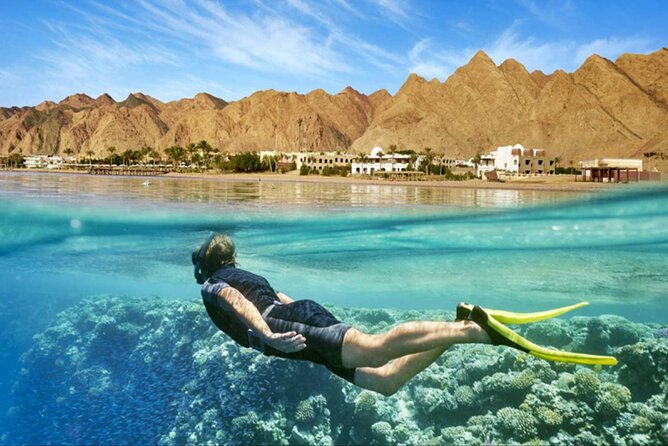 Orange Bay island Maldives of Egypt snorkeling Private 4 hours - Who should book this Orange Bay trip?