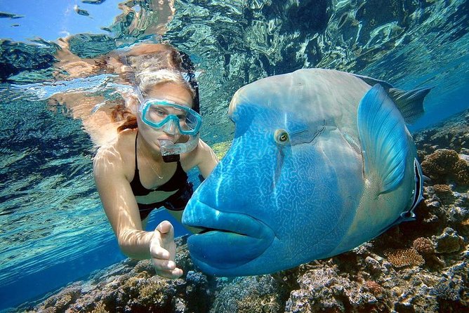 Orange Bay Island Snorkeling Trip With Water Sports - Hurghada - Who should book this Hurghada excursion?