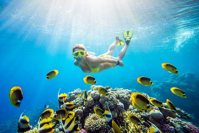 Orange Bay Island Snorkeling with Lunch & Water Sports - Hurghada - Lunch, Tea, Coffee, And Soft Drinks Onboard