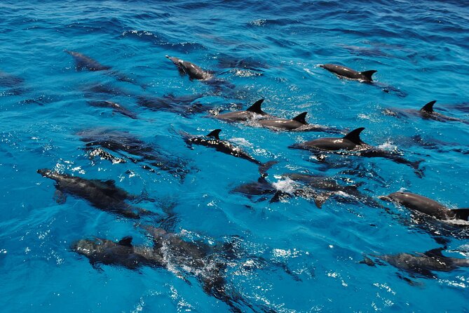 Orange Bay snorkeling tour with Lunch - water sports - Orange Bay’s 1.5 hours on shore