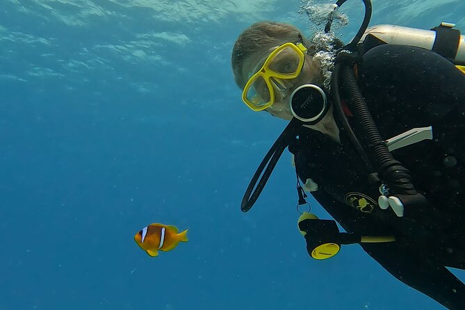 PADI Advanced Diving Course in Hurghada - Learn Scuba Diving - What this Hurghada course is really for