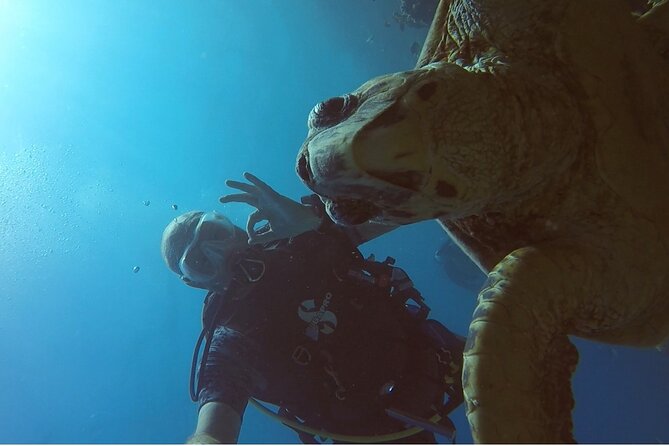 PADI Advanced Diving Course in Hurghada - Learn Scuba Diving - The Red Sea setting adds real value