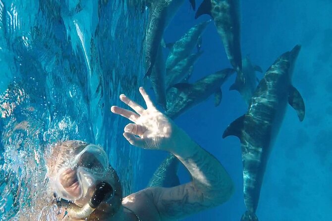 PADI Open Water Diver Course in Hurghada - Learn Scuba Diving - Key points to know before you book