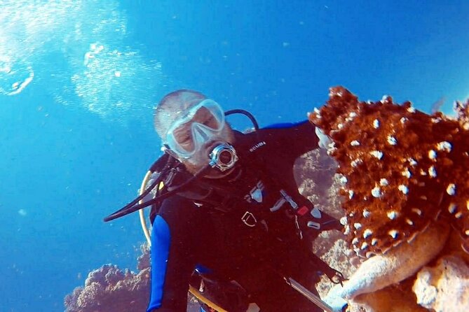 PADI Open Water Diver Course in Hurghada - Learn Scuba Diving - Day one: video training and two shallow-water sessions
