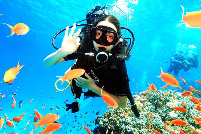 PADI Open Water Diver Course - The Red Sea setting and what you may see