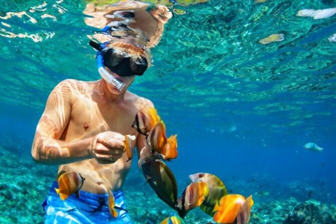 PADI Scuba Diver (PSD) - What the PADI Scuba Diver qualification really gives you