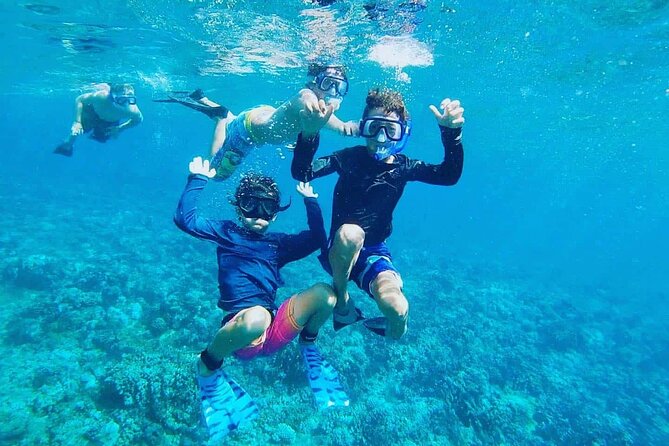 Panorama Semi Submarine Snorkeling Cruise Hurghada - The panoramic windows and the underwater show