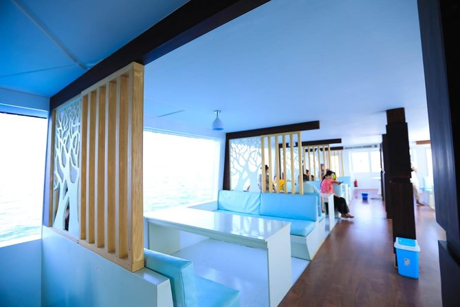 Paradise Catamaran Conquest 2 Hours Semi Submarine & snorkeling - Hurghada - What you see in the Red Sea
