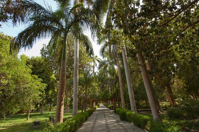 Private 1-Hour Felucca Sailing and Botanical Garden In Aswan - Key points to know before booking