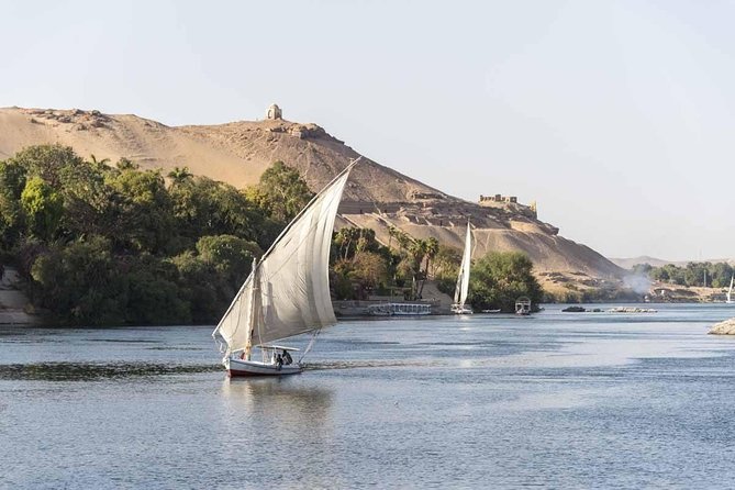 Private 1-Hour Felucca Sailing and Botanical Garden In Aswan - Transport, guiding, and the main service risks