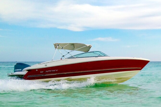 PRIVATE! | 4-hour Speed Boat Trip | Swim With Dolphins, Snorkeling & Island - What the crew adds to the day