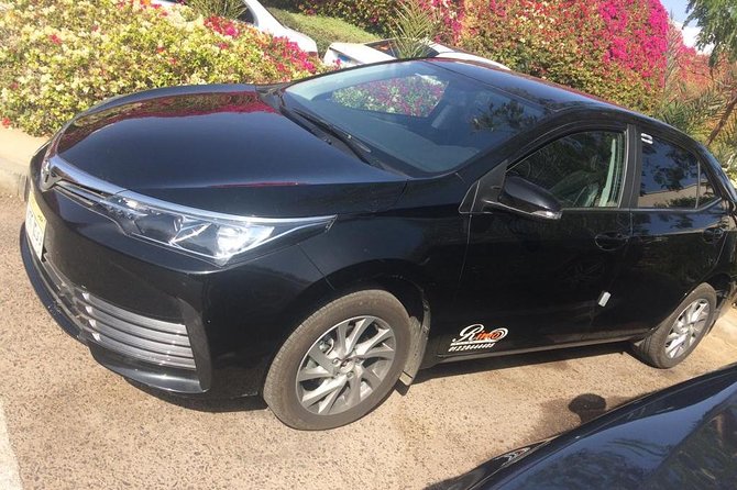 Private Airport Transfer: Cairo Airport Transfer to anywhere in Cairo - Key points to know before landing