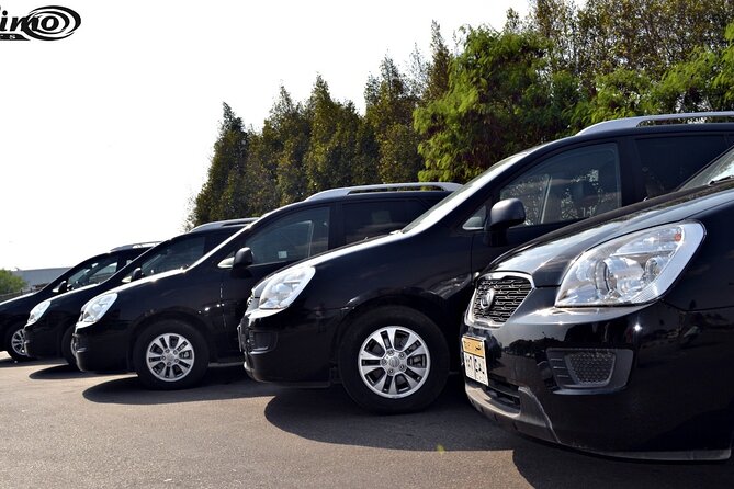 Private Airport Transfer: Cairo Airport Transfer to anywhere in Cairo - Arriving at Cairo International Airport