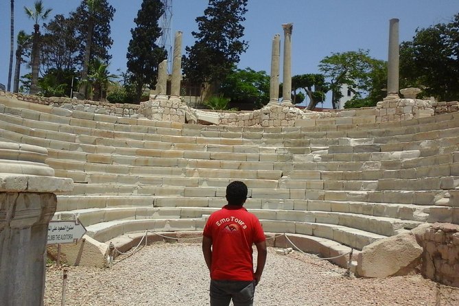 Private Alexandria Highlights Guided Day Tour - Why this private Alexandria tour works