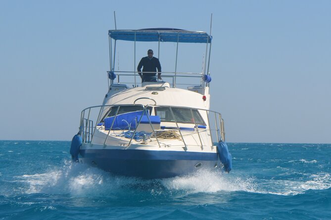 Private Boat to Dolphin House Full day Snorkeling Sea Trip Max 10 Pax - Hurghada - What the $100 price really covers