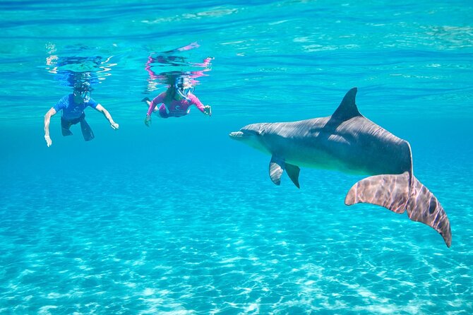 Private Boat to Dolphin House Full day Snorkeling Sea Trip Max 10 Pax - Hurghada - The honest drawbacks to consider