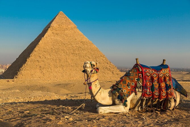 Private Cairo Aswan Luxor 8 days 7 nights with Nile Cruise - Day 3: Philae and the Aswan High Dam