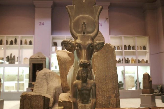Private Cairo Egyptian Museum Tour with Lunch - Value at $35 per person