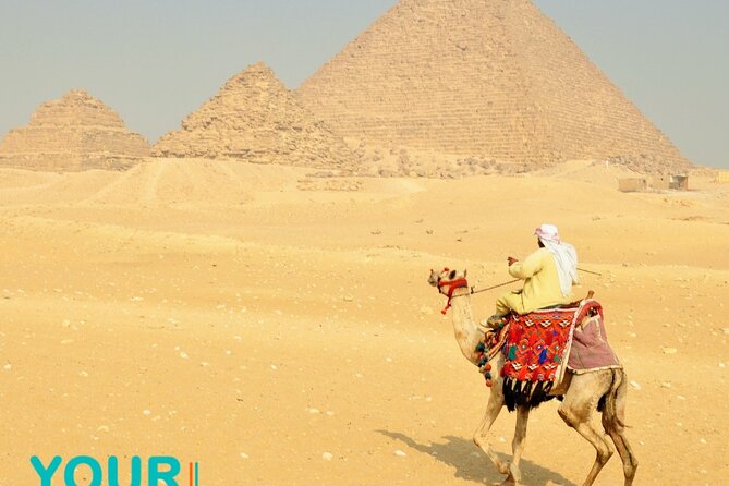 Private Cairo tour from Hurghada: No Shopping| Nile Cruise| Lunch - Two hours with the Egyptian Museum