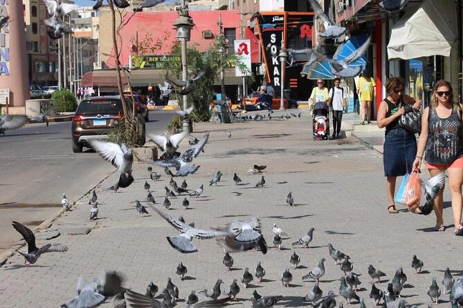 Private city tour with shopping - Key points at a glance
