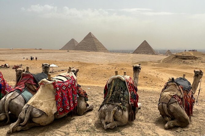 Private Day Pyramids and Grand Egyptian Museum with free camel - The guide and driver can shape the day