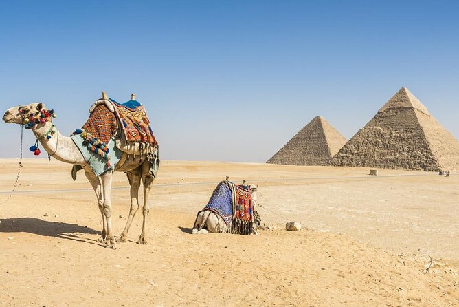Private Day Tour to Cairo with Flights and Lunch from Hurghada - Why flying makes this Cairo trip practical