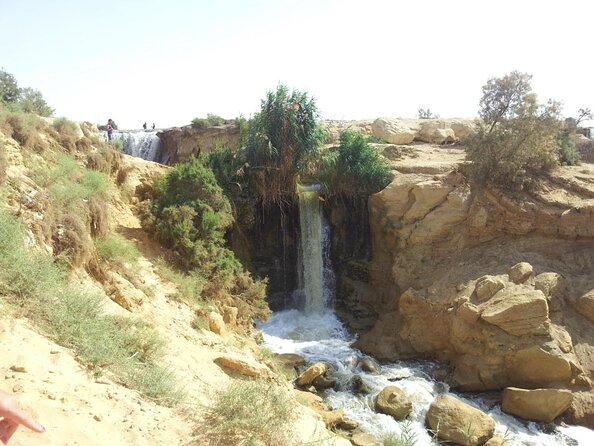 Private Day Tour To El Fayoum From Cairo - Key points to know before you book
