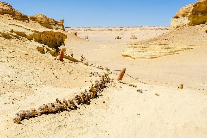 Private Day Tour To El Fayoum From Cairo - Leaving Cairo for the El Fayoum Oasis