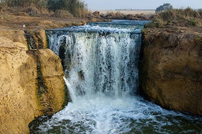 Private Day Tour To El Fayoum From Cairo - Birket Qarun and the oasis setting
