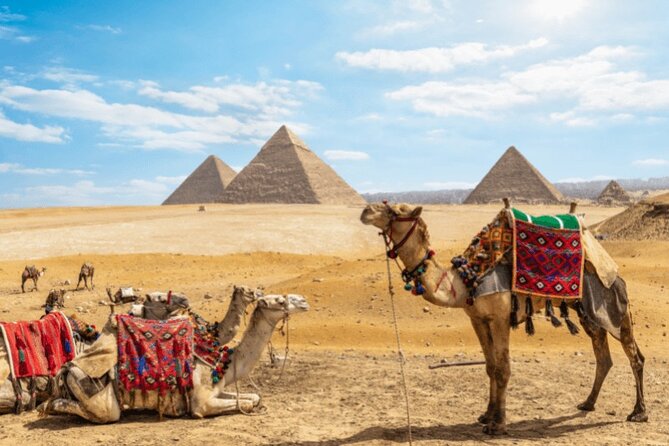 Private day trip to Cairo from Hurghada - Key points before you book