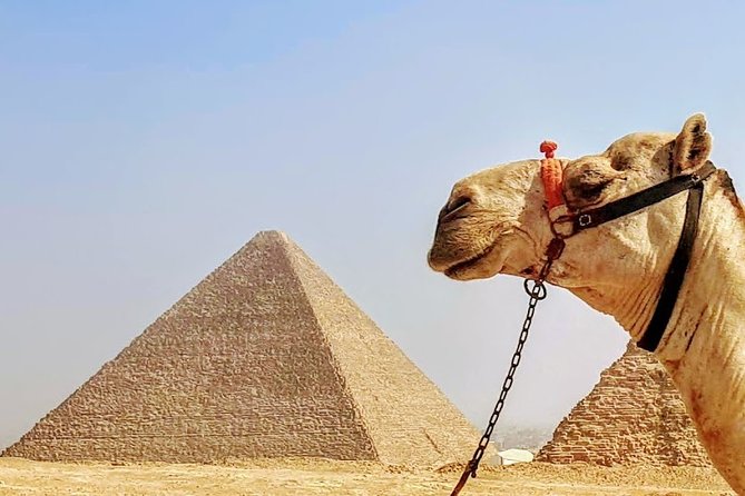 Private day trip to Cairo from Hurghada - What the $221 price does and does not cover