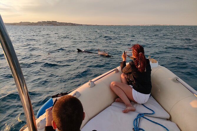 Private Dolphin Watching And Snorkeling Tour - Key Details At A Glance